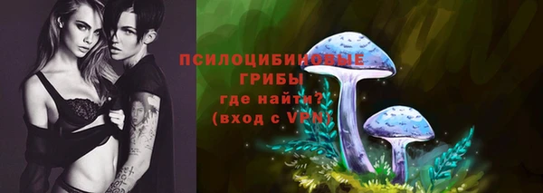 спайс Рославль