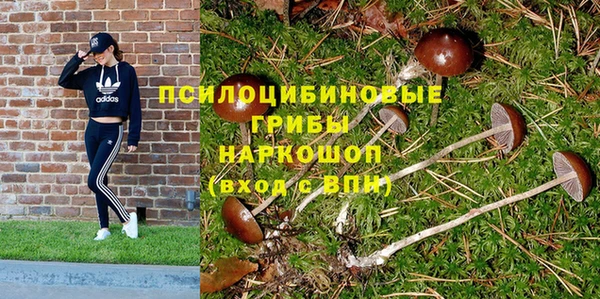 твердый Бугульма