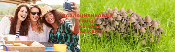 не бодяженный Бронницы