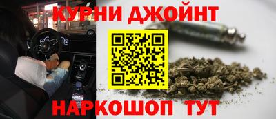 не бодяженный Гай
