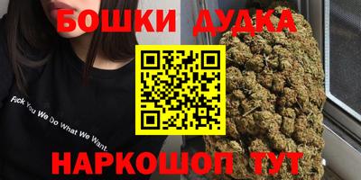 apvp Гагарин