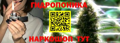 не бодяженный Гай