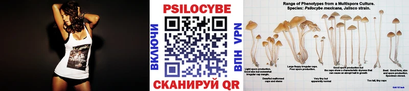Псилоцибиновые грибы мицелий ссылка на мегу ссылка Златоуст