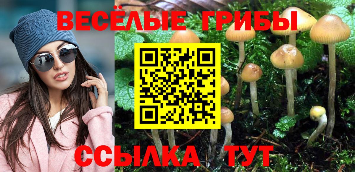 Галлюциногенные грибы Psilocybine cubensis  Вход с VPN  как найти   Псилоцибиновые грибы Psilocybine cubensis  Златоуст 