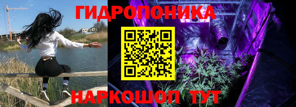 Бошки Шишки LSD WEED  Златоуст  Марихуана семена  Марихуана OG Kush  Марихуана ГИДРОПОН 